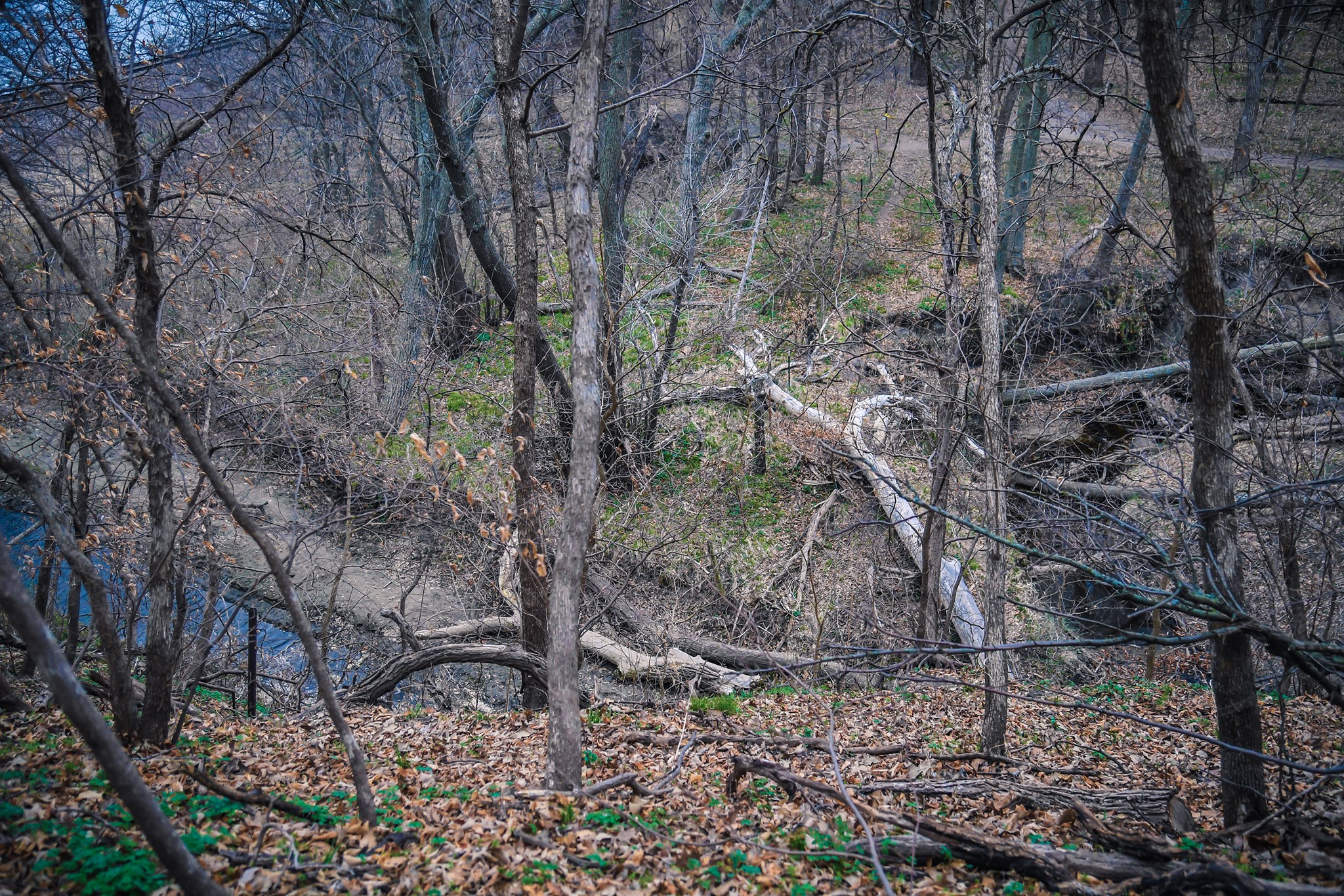 Platte River State Park The Review Junkie   92019427 1154755111530718 5367305700781326336 O 1154755108197385 